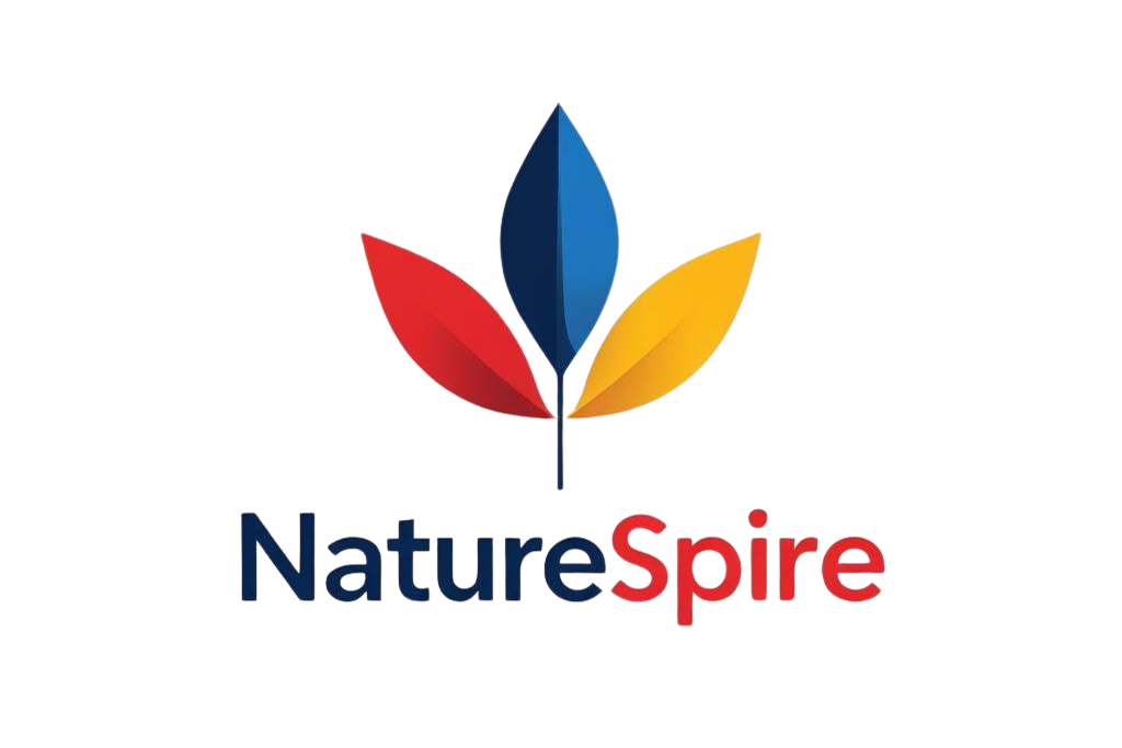 Portfolio Hero Image